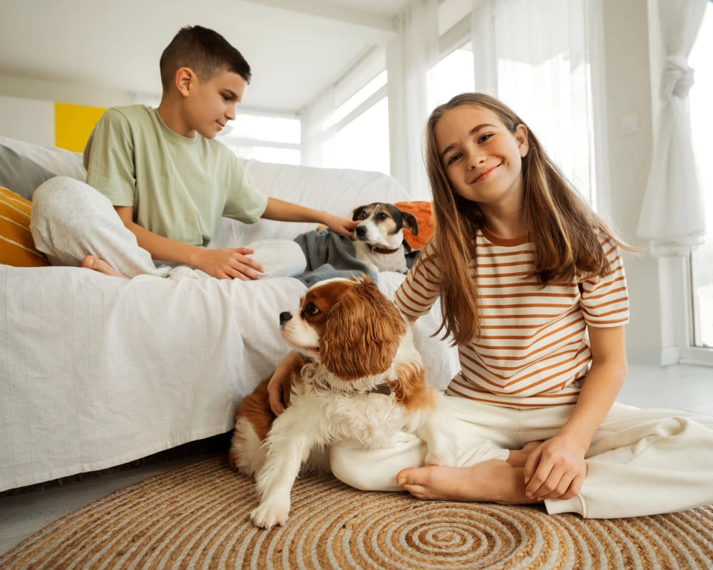 automatic pet feeder and water dispenser