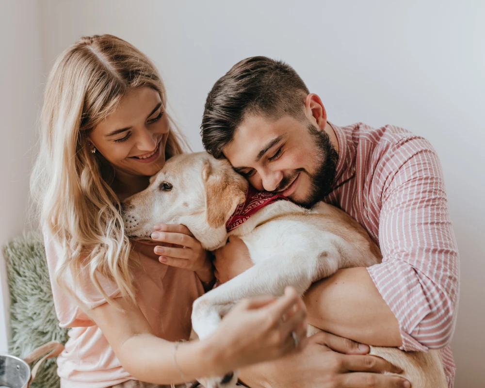 automatic pet feeding system